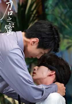 热门短剧刀口之蜜全集完整版免费资源来了!未删减高清版支持在线观看,剧情紧凑高能,百度网盘、夸克网盘免费分享下载,随时随地畅追,快来获取资源一起沉浸式体验吧!