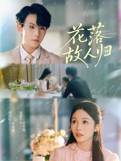 短剧《花落故人归》 高清短剧全集免费在线，完整版随心欣赏