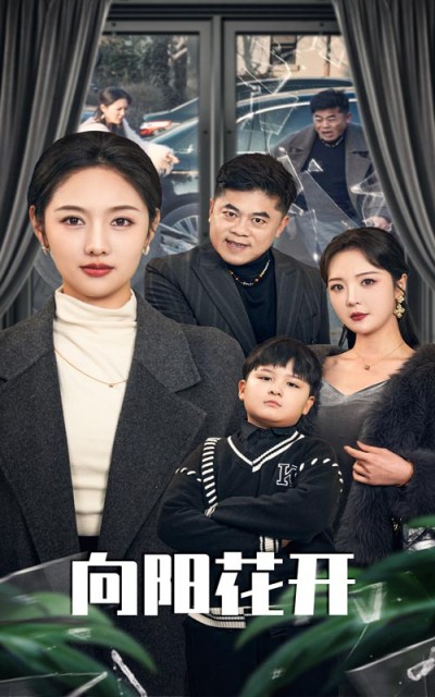 《溺爱的代价&amp;向阳花开》短剧高清全集免费在线观看播放完整版