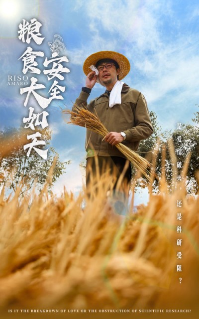 短剧《粮食安全大如天》全剧呈现,超清画质畅享,后续已完结,一口气看完