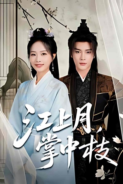 短剧《江上月掌中枝》 免费观看高清短剧全集，完整版在线无束缚自由享