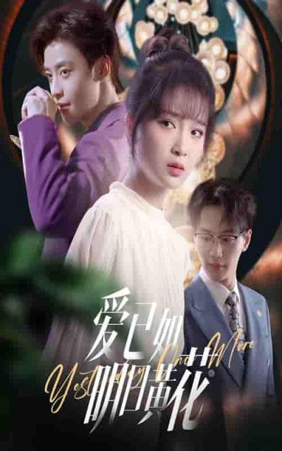 短剧《爱已如明日黄花》 高清短剧全集免费看，完整版在线无束缚随心享