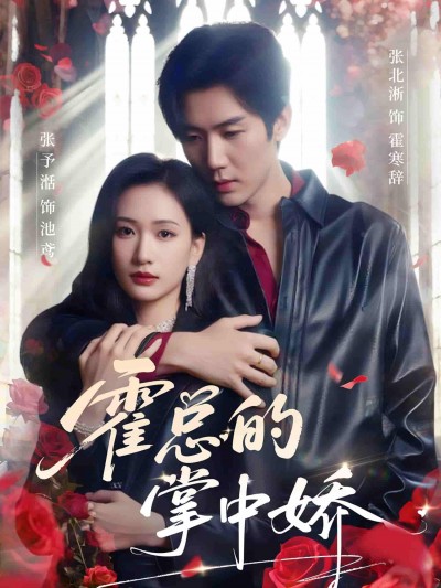 短剧《霍总的掌中娇》 免费在线观看高清全集，完整版大结局已完结