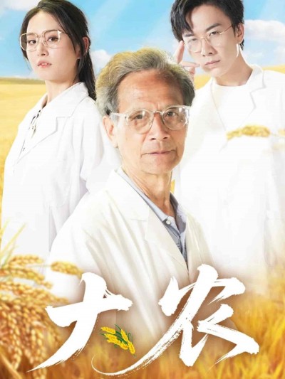 短剧《大农》 高清短剧全集免费观看，完整版在线无障碍