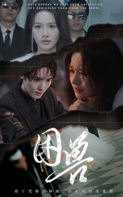 《困兽》短剧高清全集免费在线观看播放完整版