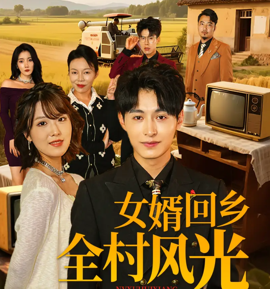 短剧《女婿回乡全村风光》 短剧全集免费看，高清在线播放，大结局震撼来袭  第1张