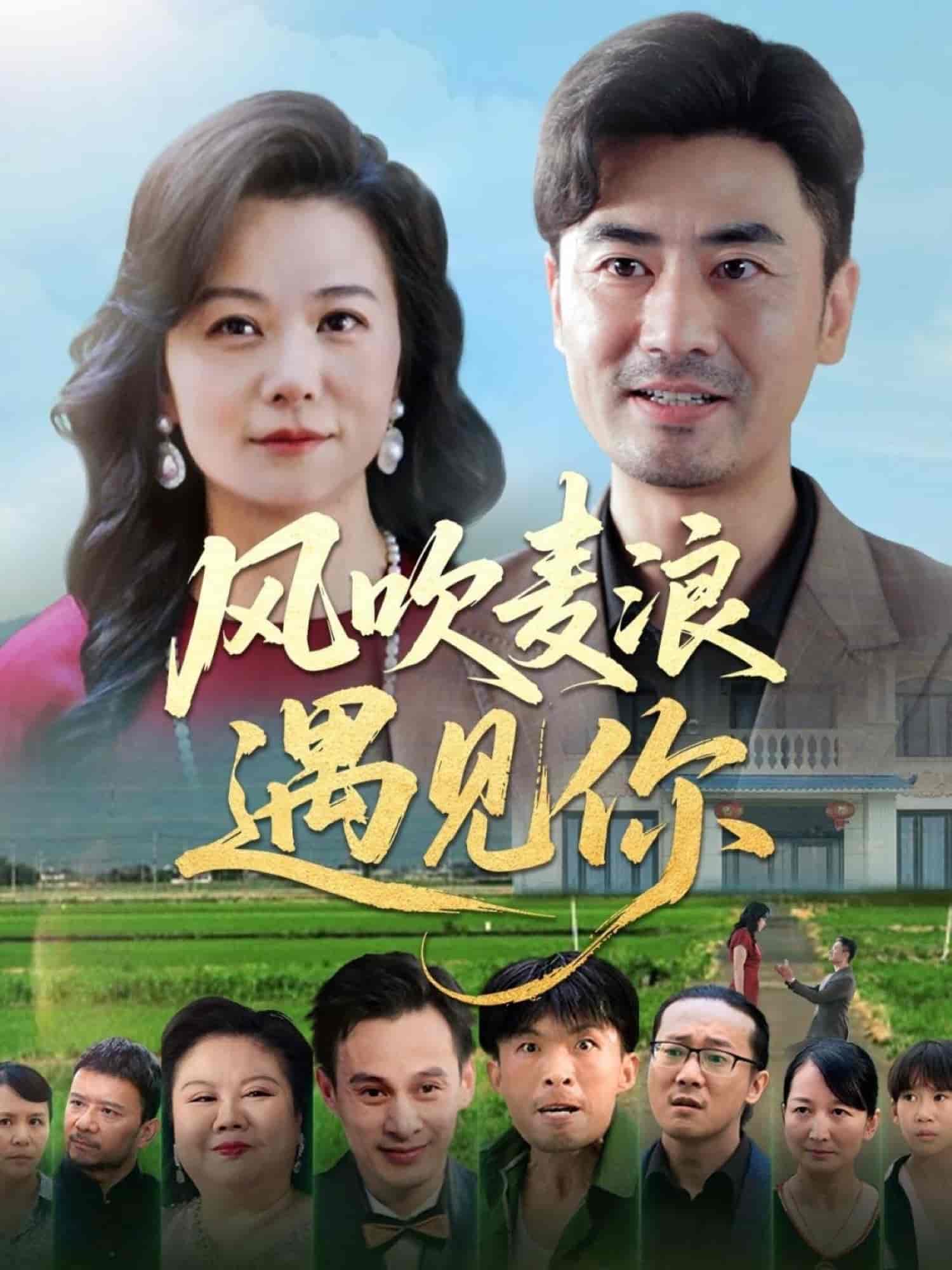 短剧《风吹麦浪遇见你》 高清全集！免费在线观看，大结局已完结  第1张