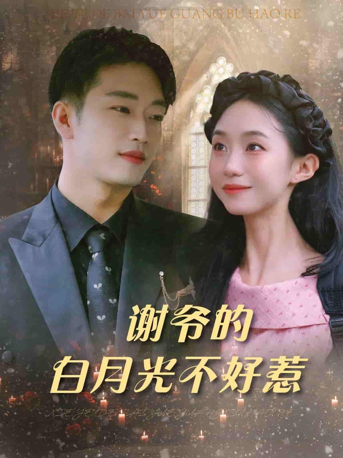 短剧《谢爷的白月光不好惹》 免费高清短剧全集，完整版在线无障碍观看  第1张