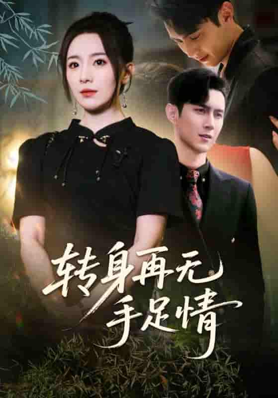 短剧《转身再无手足情》 高清短剧全集免费看，完整版在线无障碍  第1张