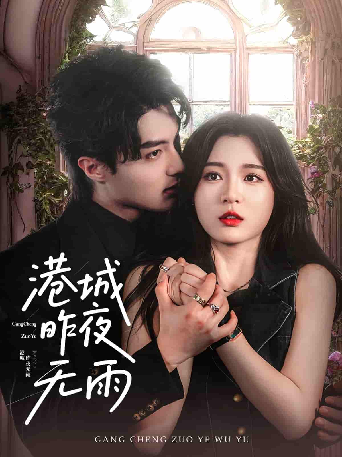 短剧《港城昨夜无雨》 免费看高清全集，大结局震撼揭晓  第1张