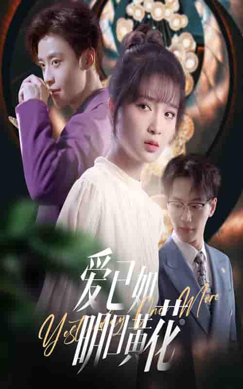 短剧《爱已如明日黄花》 高清短剧全集免费看，完整版在线无束缚随心享  第1张