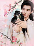 短剧《红颜风华录》 短剧全集免费看，高清在线播放，大结局已完结！  第1张