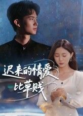 短剧迟来的情爱比草贱免费在线观看，超高清全集完整版，情感纠葛细腻呈现，尽享沉浸式追剧体验～