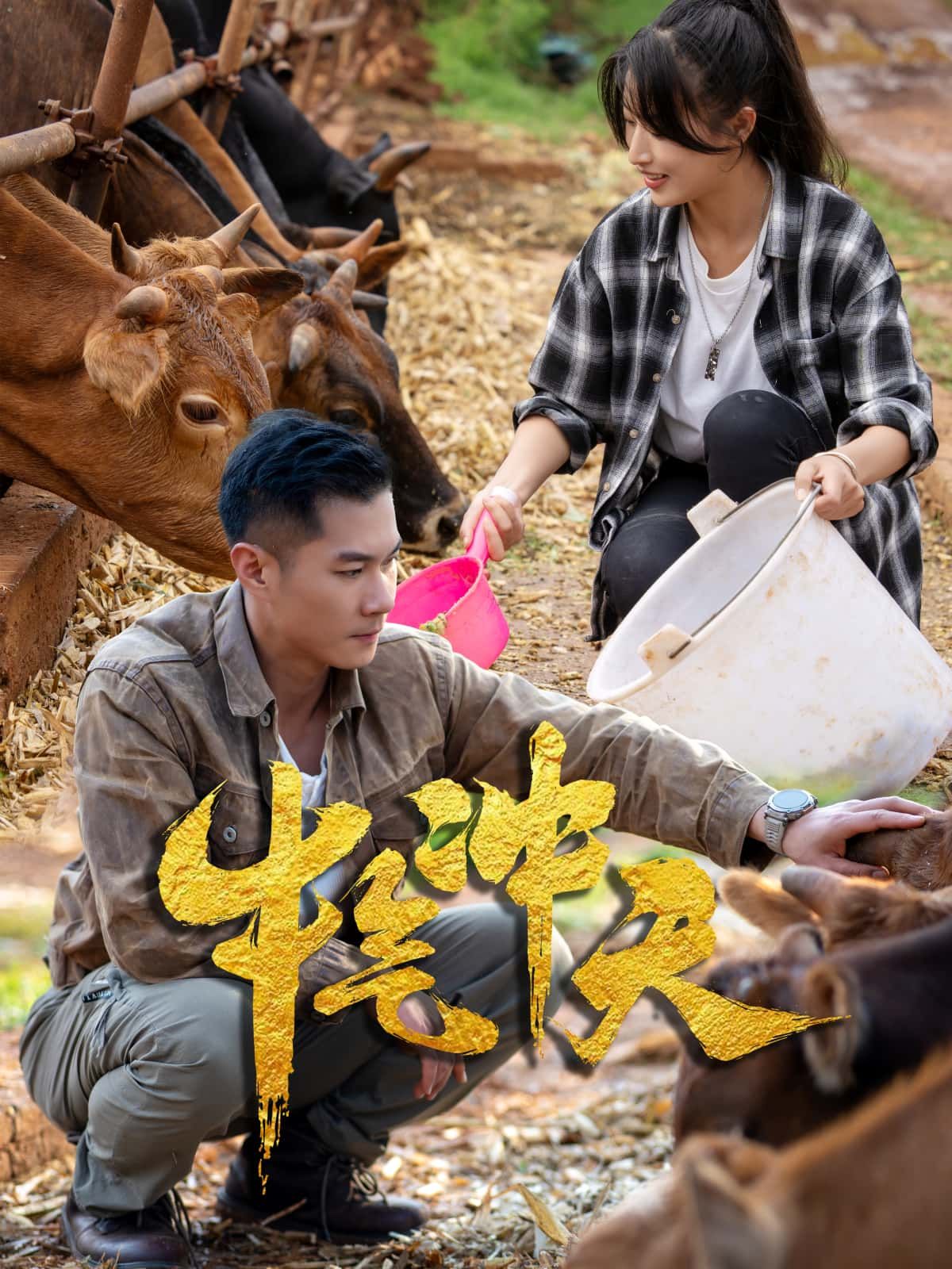 想看小人物逆袭的励志爽剧？牛气冲天高清全集完整版免费在线看！讲述乡村青年阿牛靠勤劳智慧养牛创业，从穷小子变身牛老板，带领村民致富的热血故事。剧情真实接地气，反转不断，无删减高清画质，手机、电视都能追，赶紧来看这个牛气冲天的奋斗剧！  第1张