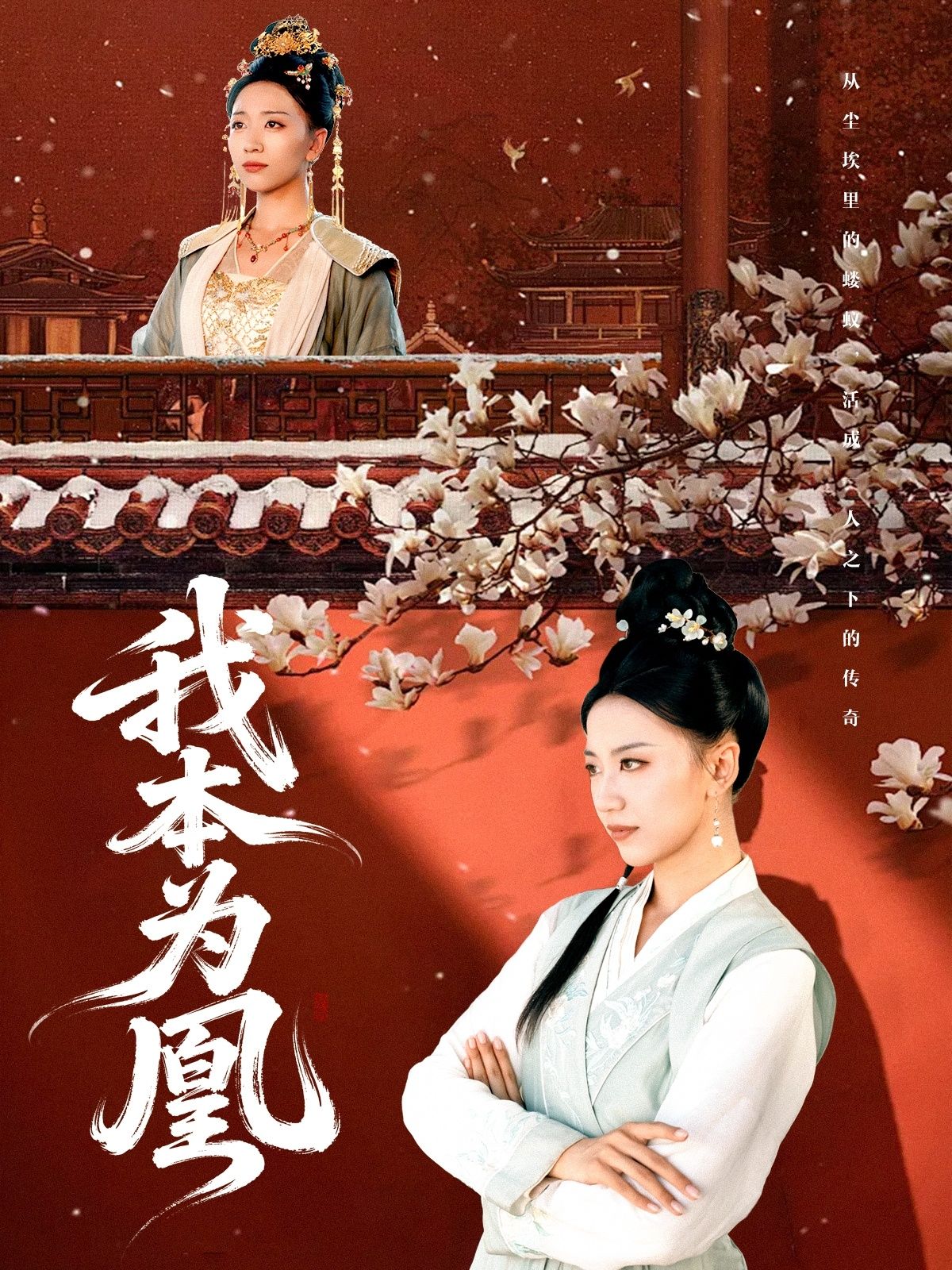 古风逆袭短剧我本为凰来了!废柴嫡女觉醒凰命,手撕仇敌、执掌乾坤,逆袭打脸爽感爆棚!1080P高清画质,每一帧都是视觉盛宴;全集完整在线,无广告插播,一次看过瘾!点击播放,看凤凰涅槃,逆天改命!  第1张 古风逆袭短剧我本为凰来了!废柴嫡女觉醒凰命,手撕仇敌、执掌乾坤,逆袭打脸爽感爆棚!1080P高清画质,每一帧都是视觉盛宴;全集完整在线,无广告插播,一次看过瘾!点击播放,看凤凰涅槃,逆天改命!  第1张