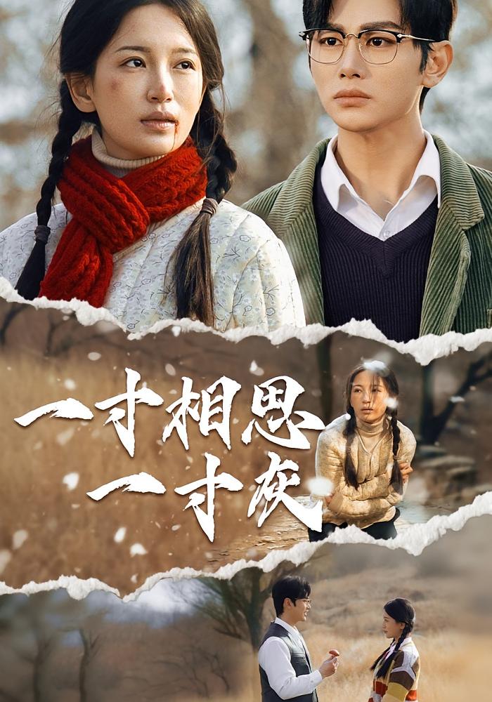 短剧 《一寸相思一寸灰》 高清影像全集免费在线观，完整版尽享精彩,第1张