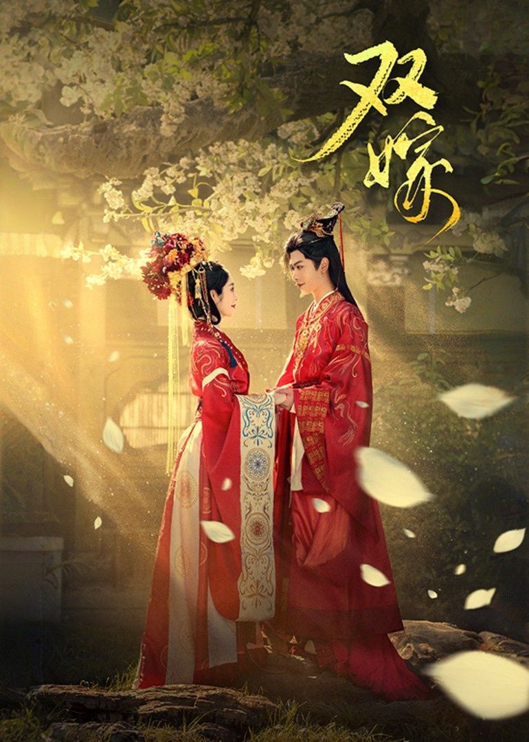 短剧 《双嫁》 在线观看超高清全集无删减版  第1张 短剧 《双嫁》 在线观看超高清全集无删减版  第1张
