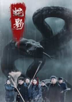 热门短剧蛇影（25集）刘灵、闫一英主演，全集完整版免费在线观看！未删减版高清资源，百度网盘、夸克网盘免费下载分享，速来解锁精彩剧情！  第1张