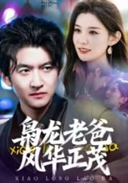 热门短剧《枭龙老爸风华正茂》 全集完整版免费无广告在线观看播放未删减版资源,短剧百度网盘夸克网盘免费资源分享下载
