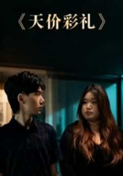 热门短剧《天价彩礼》 全集完整版免费在线观看播放未删减版资源,短剧百度网盘夸克网盘免费资源分享下载