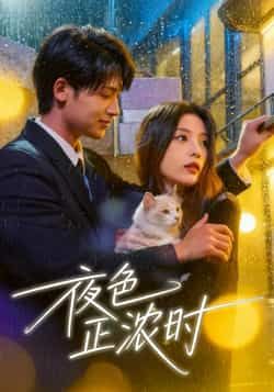 热门短剧《夜色正浓时》 全集完整版实时更新免费在线观看播放未删减版资源,短剧百度网盘夸克网盘免费资源分享下载
