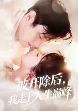 热门短剧被开除后，我走上人生巅峰全集完整版免费观看！在线播放未删减版资源，剧情爽点密集，逆袭高能不断。百度网盘、夸克网盘免费资源分享下载，无需付费即可畅看全集，带你体验主角逆袭巅峰的精彩人生，资源已备好，速来围观！  第1张