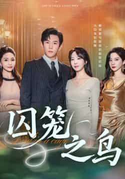 热门短剧囚笼之鸟全集完整版免费看!高清未删减资源在线播放,剧情高能反转不断,全网热议中!百度网盘、夸克网盘同步开放免费下载,无需会员即可轻松追更全剧,快来收藏解锁完整版!